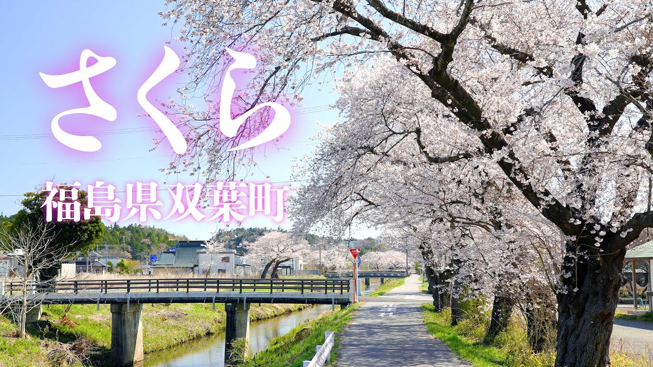 双葉町のさくら 2024 双葉町動画配信サイト
